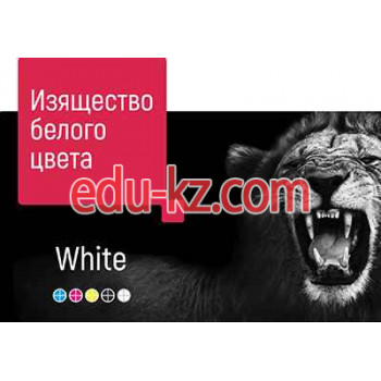 Издательские услуги Издательские системы - на портале uslugiby.su
