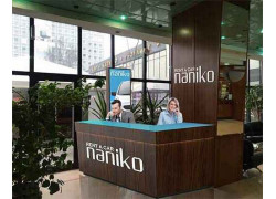 Нанико