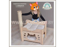 Добрый кот