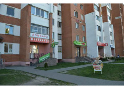 СоЛисПин